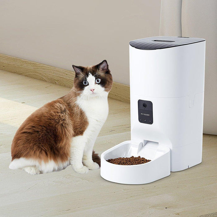 Pawz Pet Smart Feeder with Camera 6L - petpawz.com.au