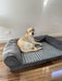 PaWz Pet Sofa Bed - petpawz.com.au