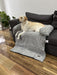 PaWz Pet Sofa Cover - petpawz.com.au