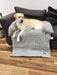 PaWz Pet Sofa Cover - petpawz.com.au