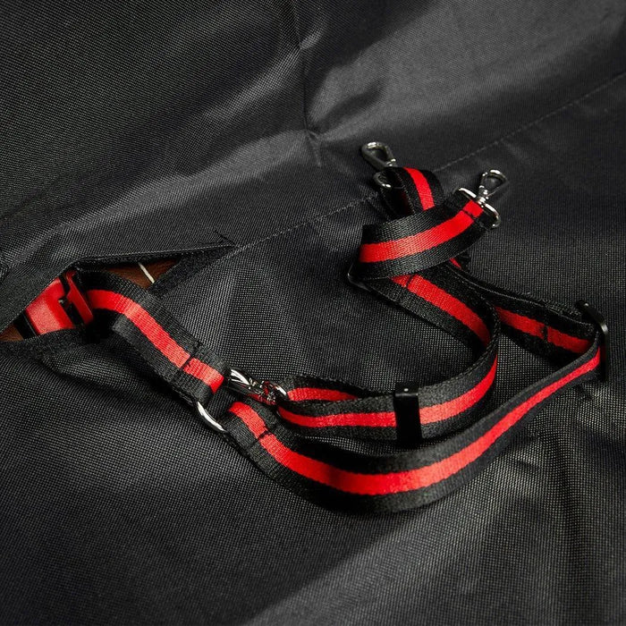 PaWz Premium Pet Back Car Seat Cover straps