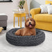 PaWz Cosy Calming Dog Bed - petpawz.com.au