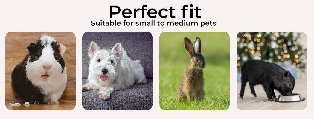 play pane suitable for various small pet  