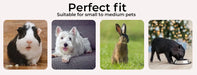 play pane suitable for various small pet  