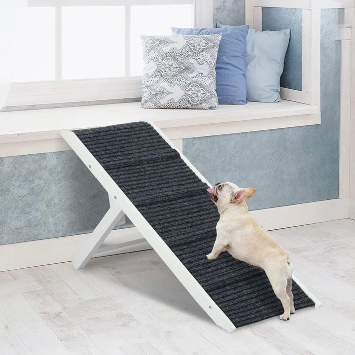 Pug Climbing on PaWz Adjustable Dog Ramp 