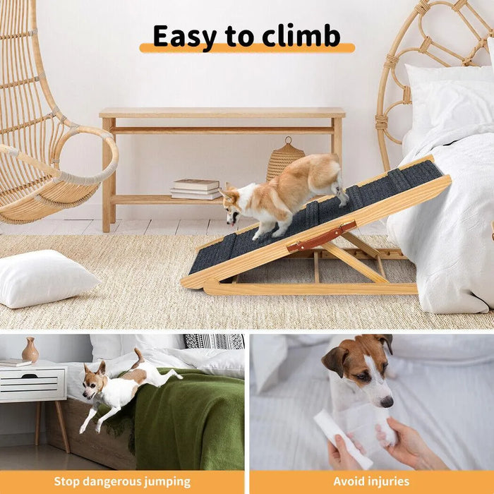puppy going down through wooden dog ramp
