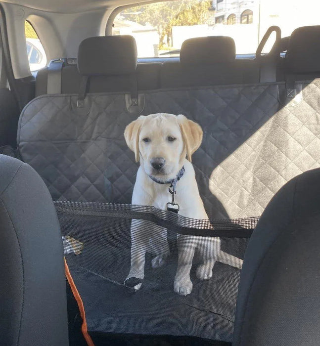 puppy in car sitting pawz-back-seat-cover