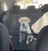 puppy in car sitting pawz-back-seat-cover
