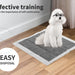 puppy on Pet Toilet Training Pads u