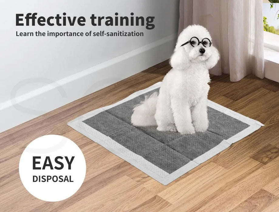 puppy on Pet Toilet Training Pads u