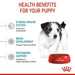 Royal Canin Mini Puppy Dry Dog Food 4kg - petpawz.com.au