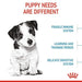 Royal Canin Mini Puppy Dry Dog Food 4kg - petpawz.com.au