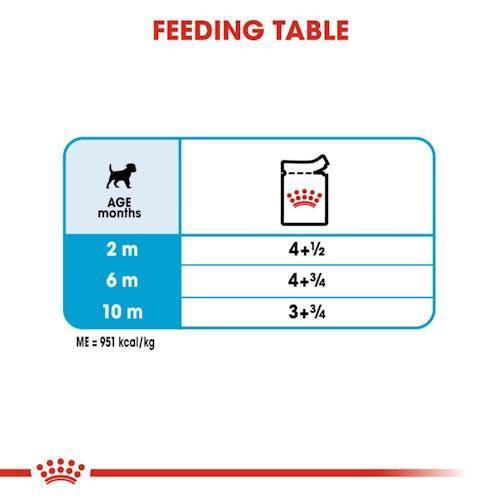 Royal Canin Mini Puppy Pouch | 12x85g - petpawz.com.au