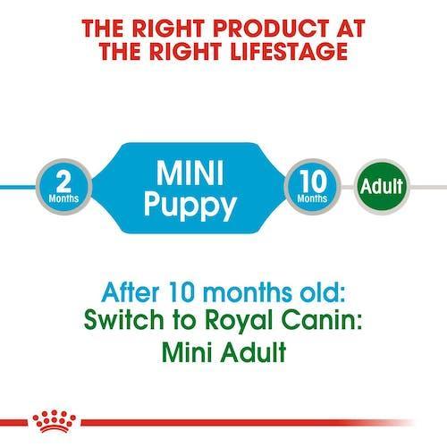 Royal Canin Mini Puppy Pouch | 12x85g - petpawz.com.au