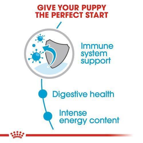 Royal Canin Mini Puppy Pouch | 12x85g - petpawz.com.au