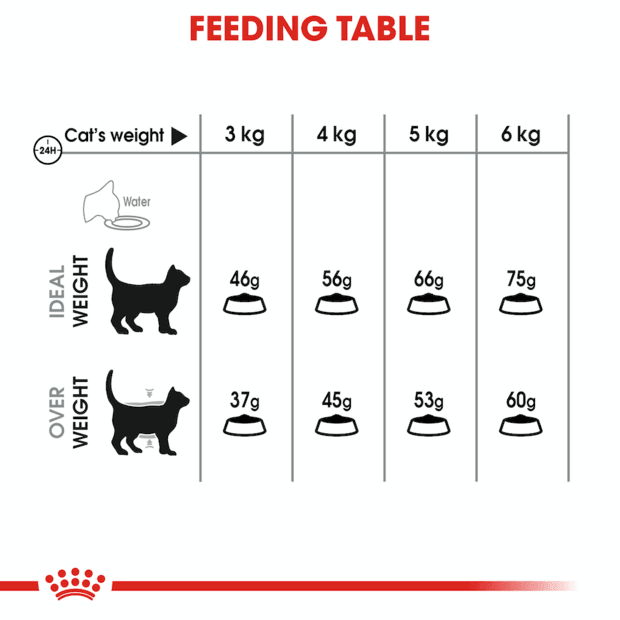 Royal Canin Oral Care Adult Dry Cat Food | 3.5kg - petpawz.com.au