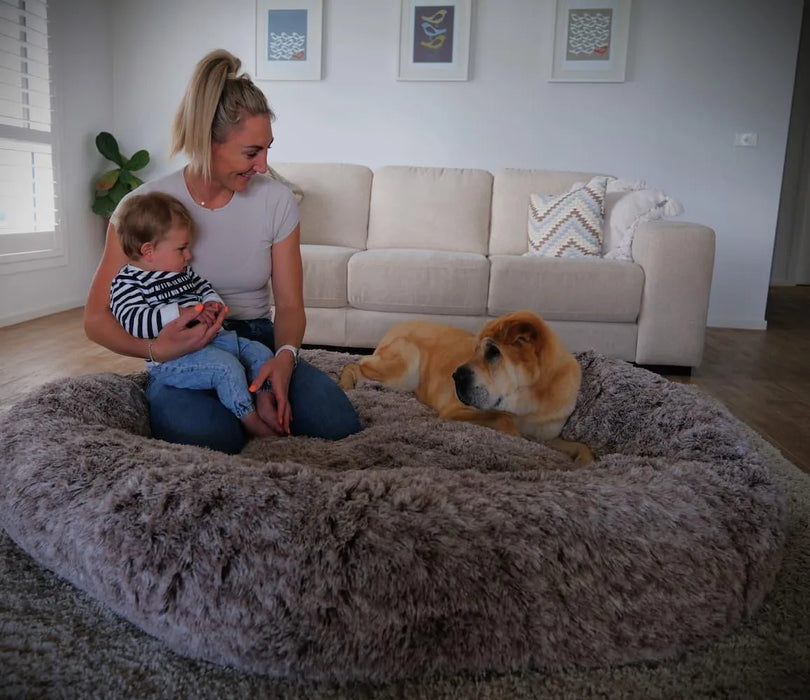 family with dog on The Human Size Nap Bed 