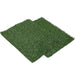 two Pawz Fake Grass mat
