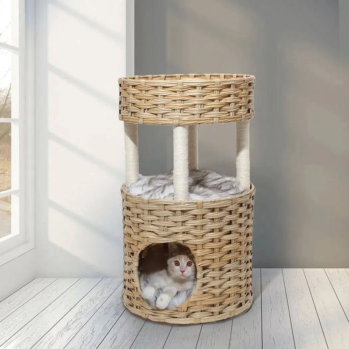 cat inside the pawz woven rattan pet bed