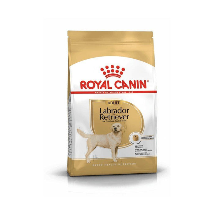 Royal Canin Labrador Retriever Adult | 12 Kg + PaWz Smart Container Bundle
